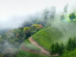 Images of Plan Darjeeling - Mirik Tour Package for 3 Days